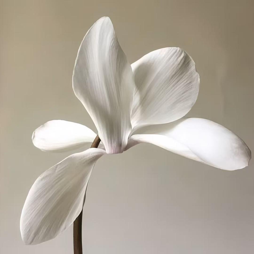 湘织升学规划小屿老师