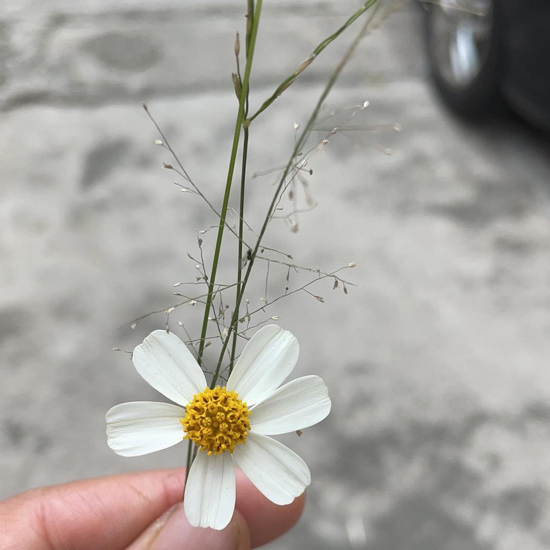 😊七七头像