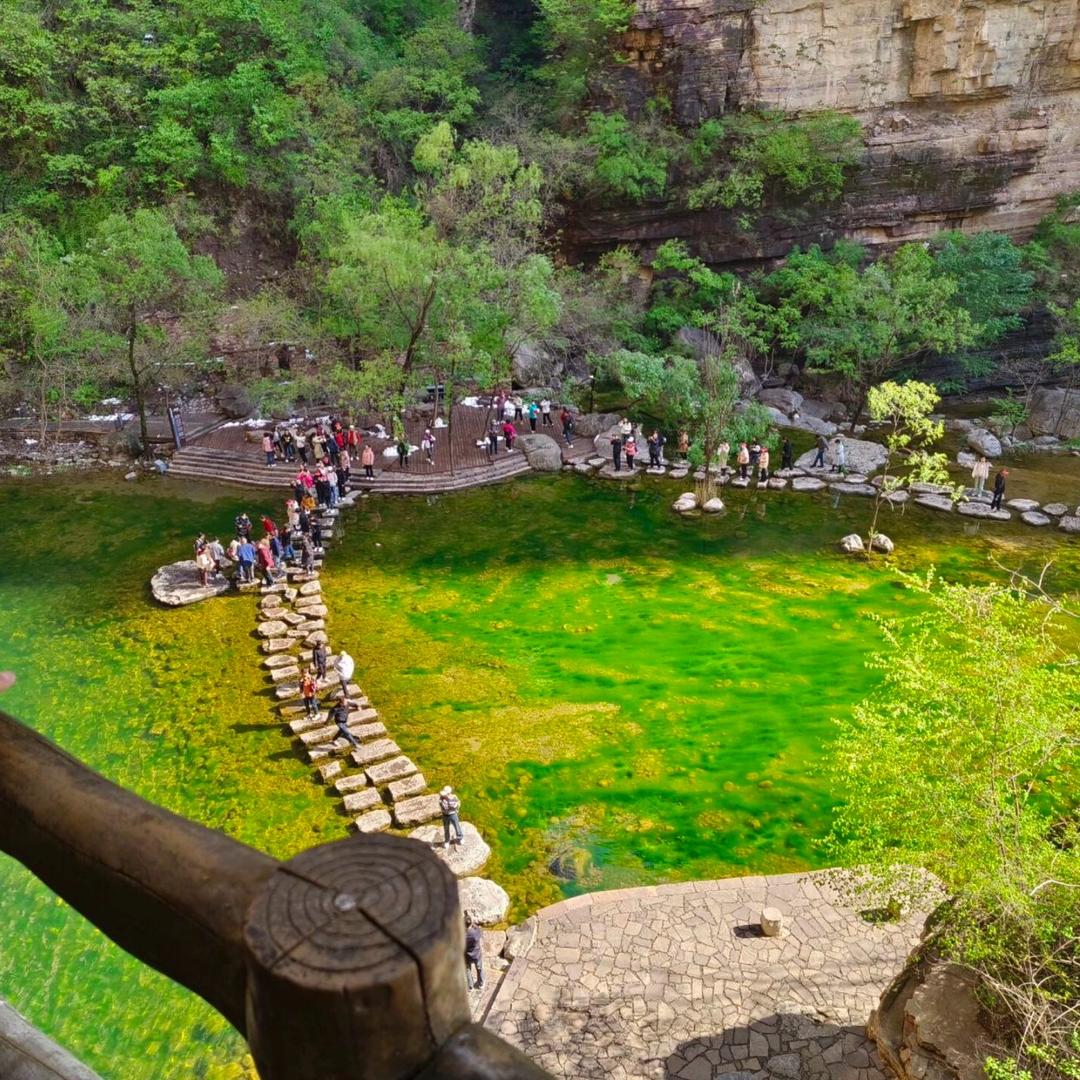 小芳带你去旅游