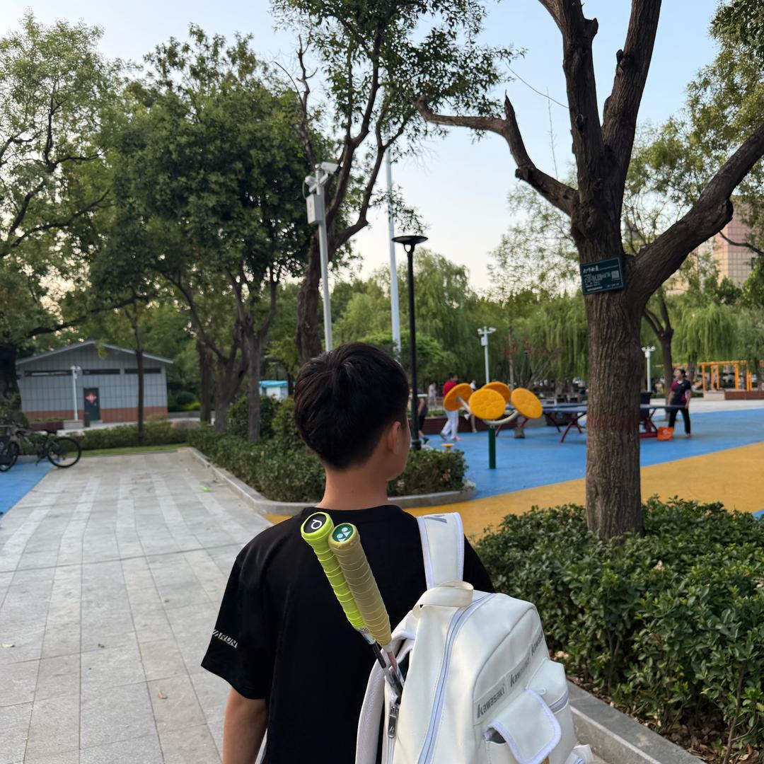 骏马的骏