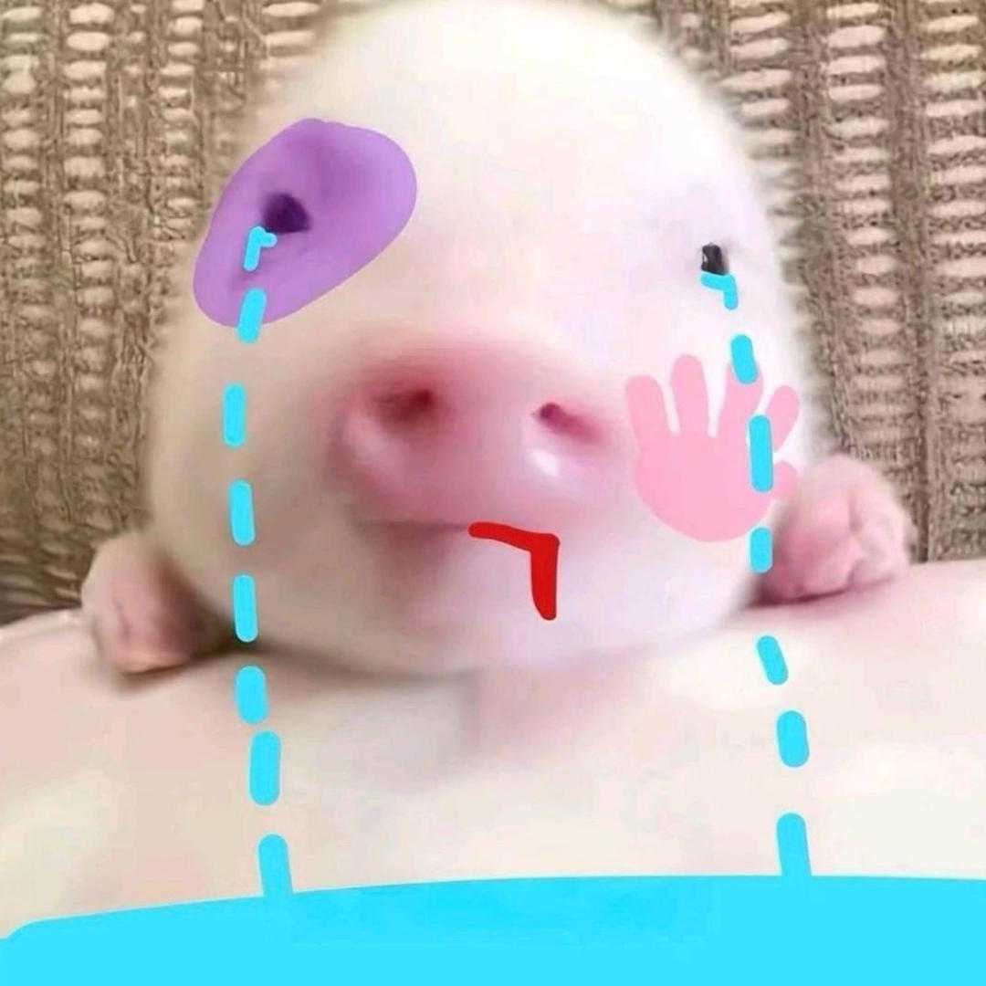 被老公狂砍之后变成猪妞