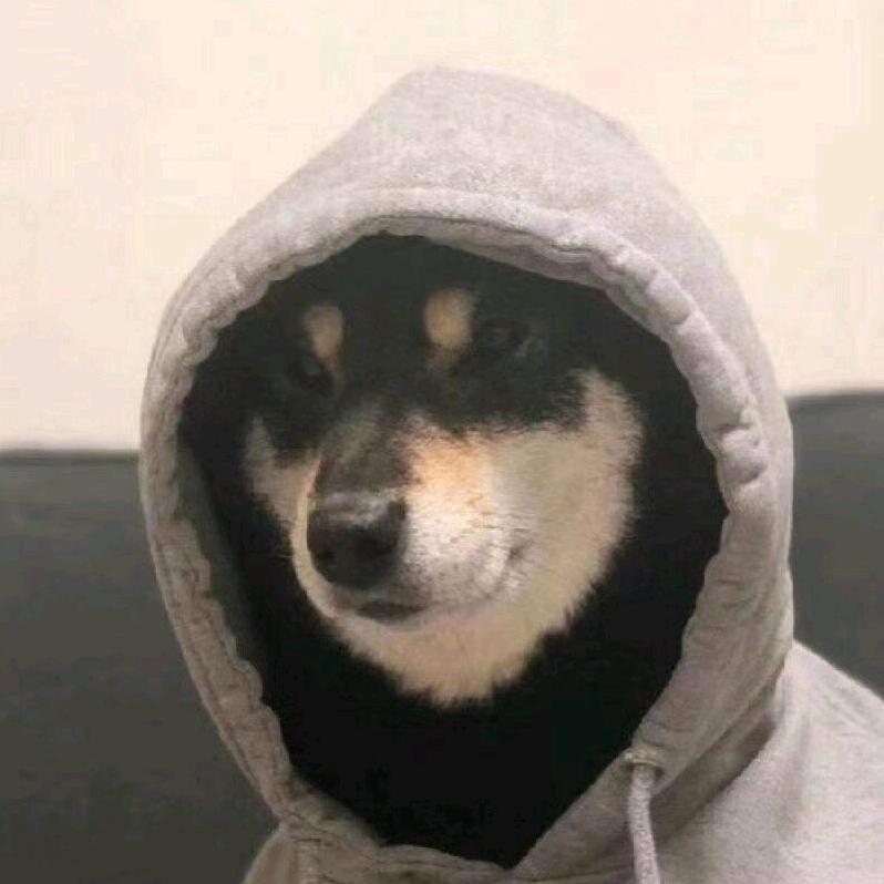 什么都不会