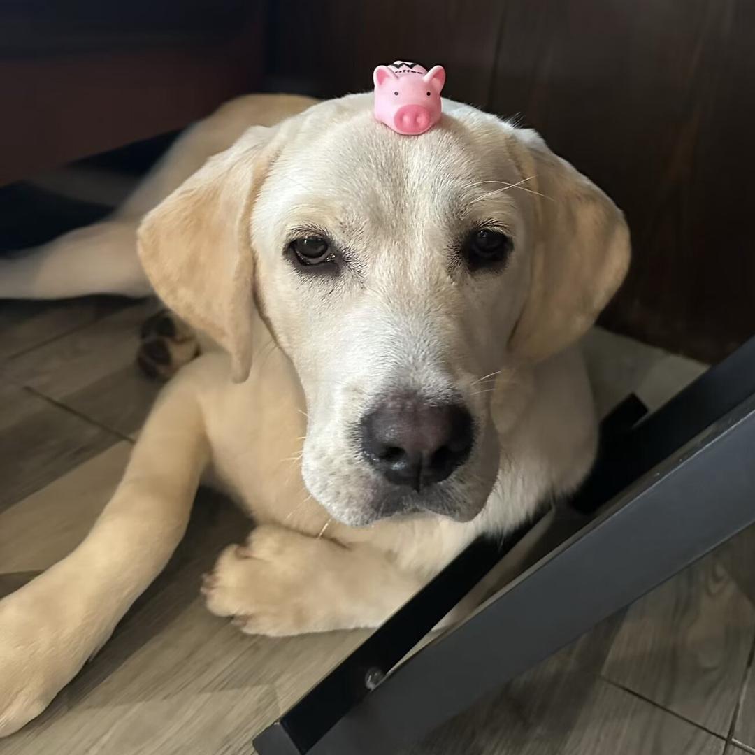 诗诗哇💕
