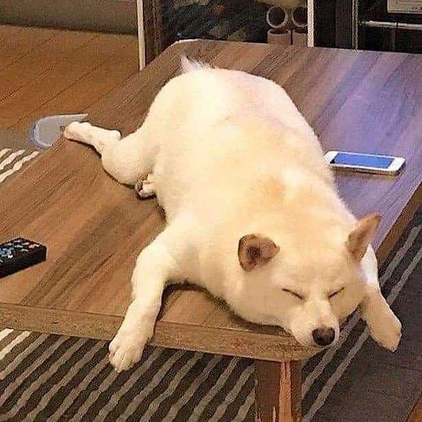 也行