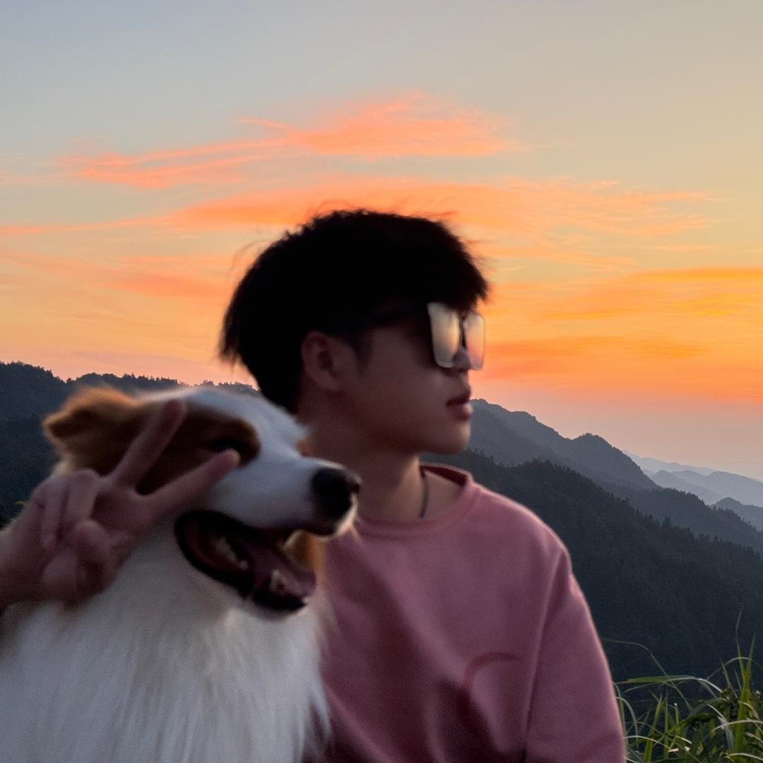 王CC🐶