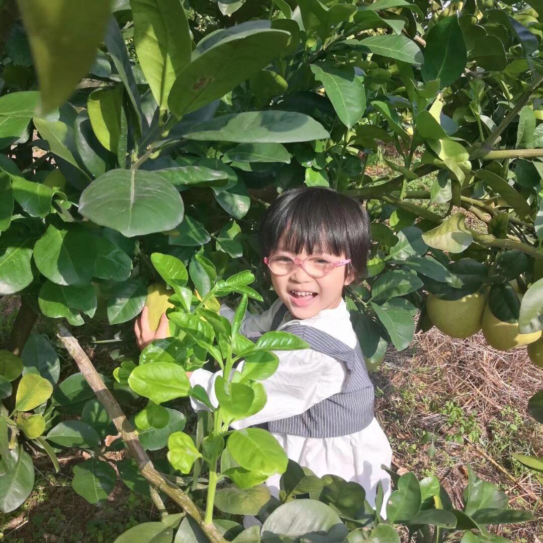 向阳柚子