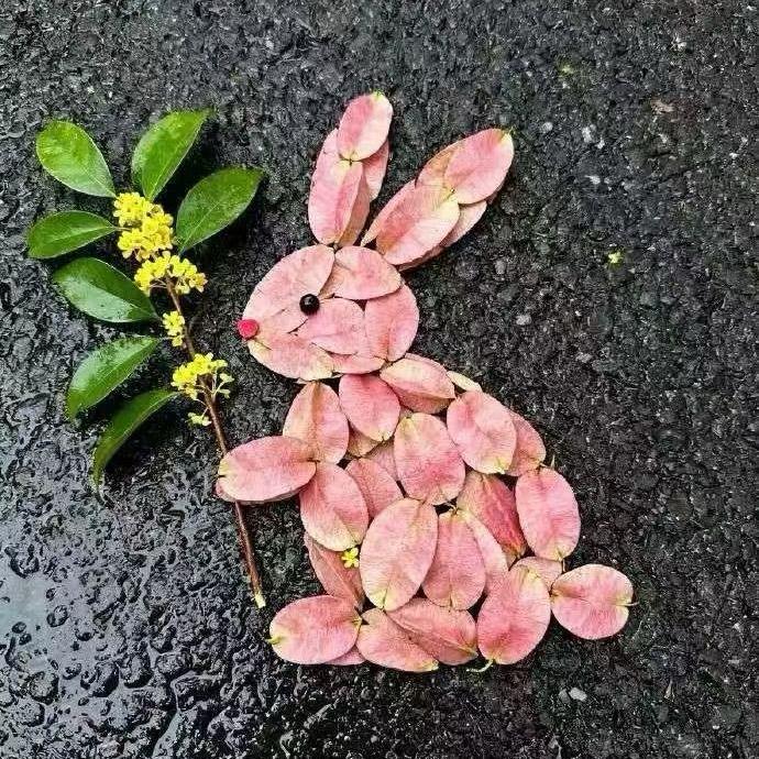 赵小倩