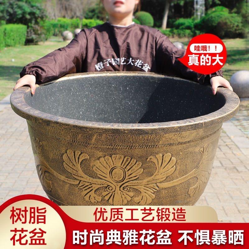 橙子园艺园艺旗舰店