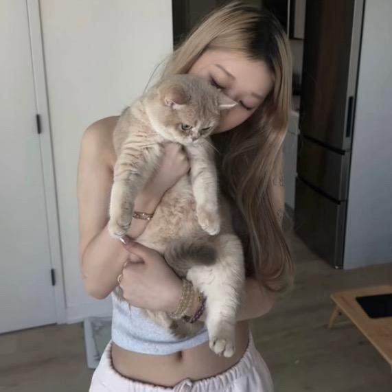 脸脸