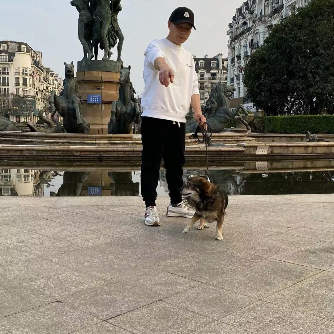 陶气3965952516573