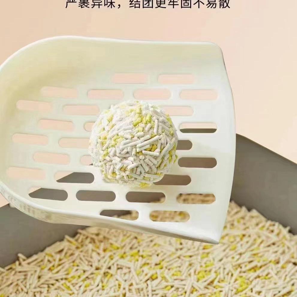 河南猫砂供应
