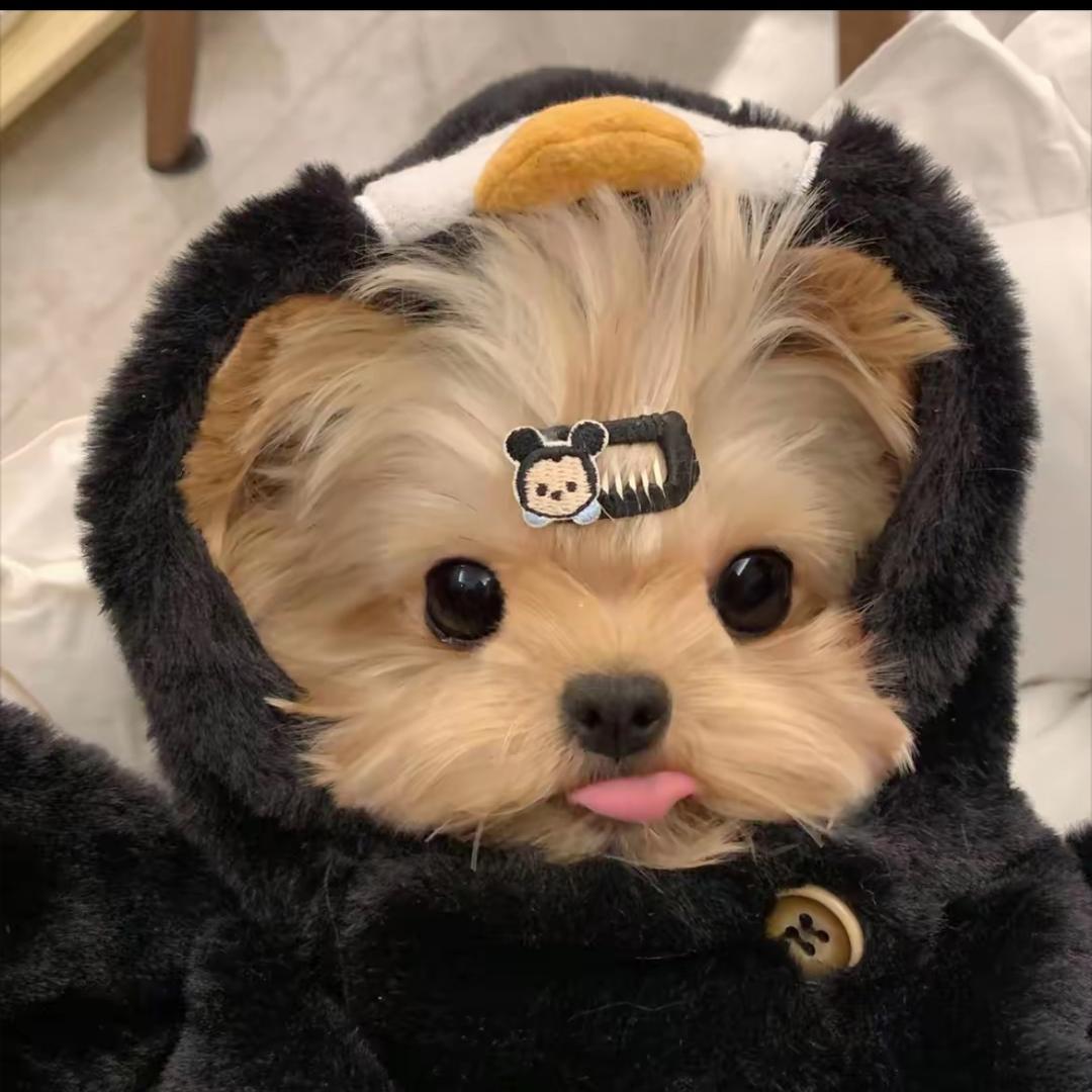 ¥
