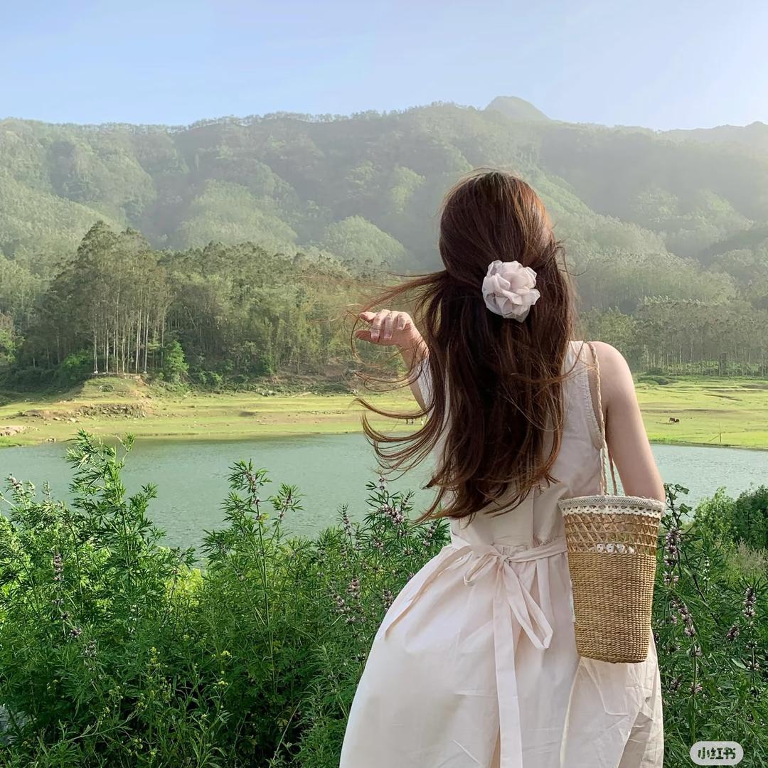 阿Li助理号🍃