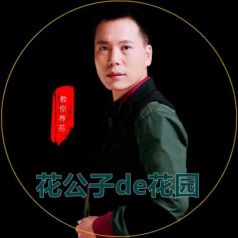 花公子de院子