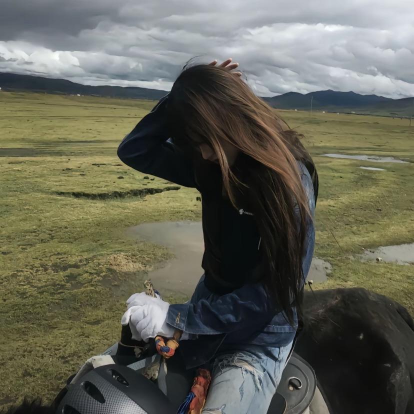 ㅤㅤㅤㅤㅤ   ㅤㅤㅤㅤ