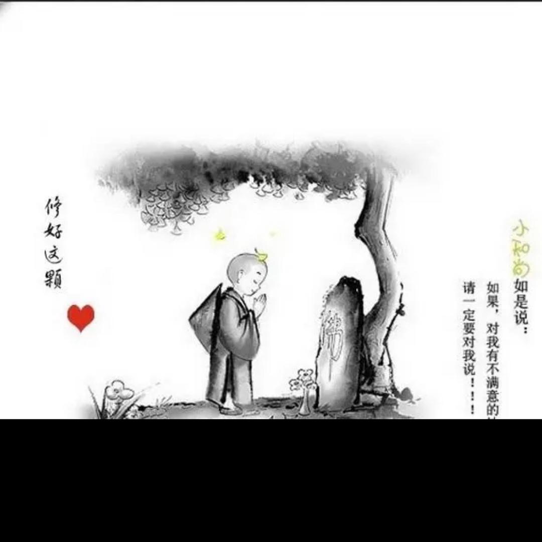 修心-森淼