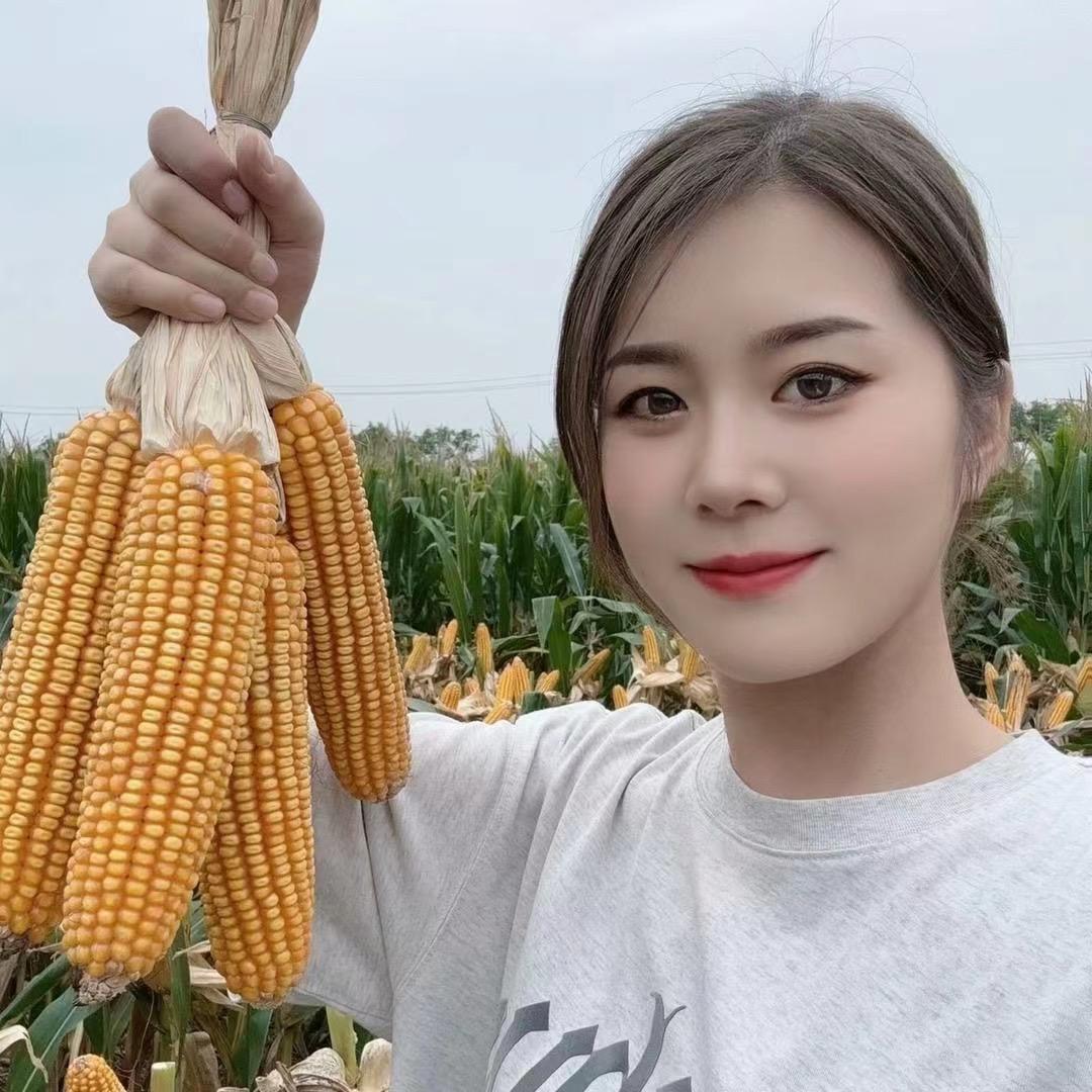 陈星农资汇