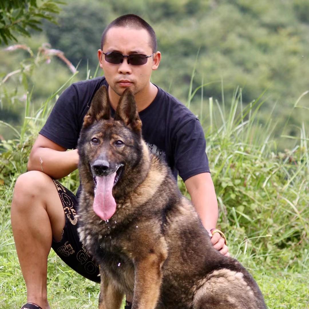 黑豹昆明犬舍