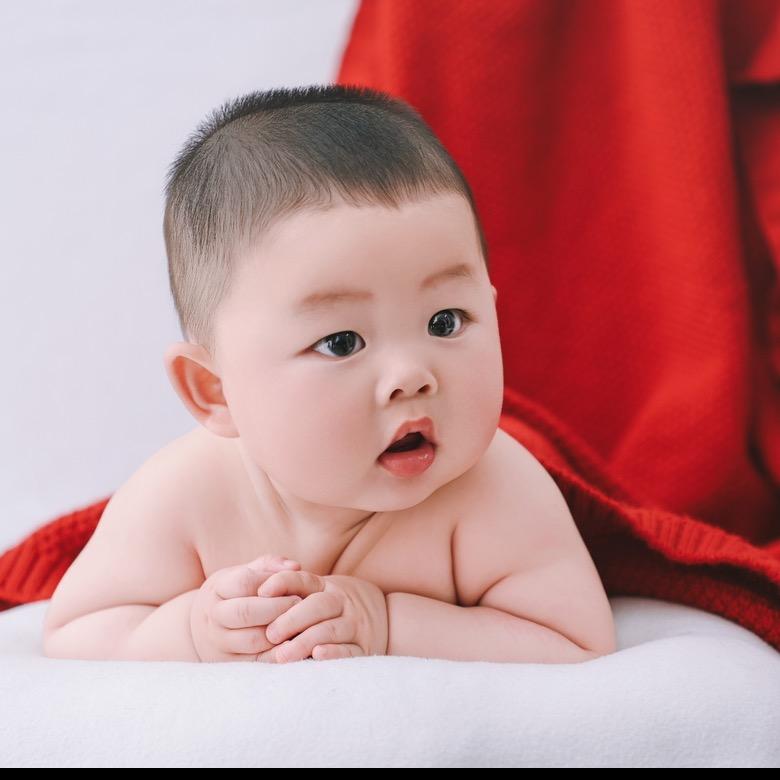 一只小团团❤️