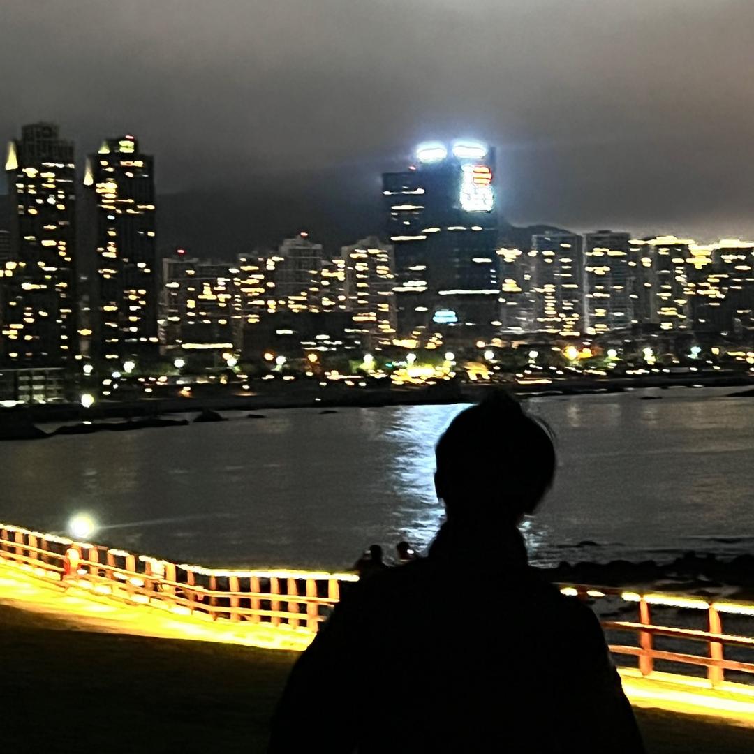憋屈的梵高z