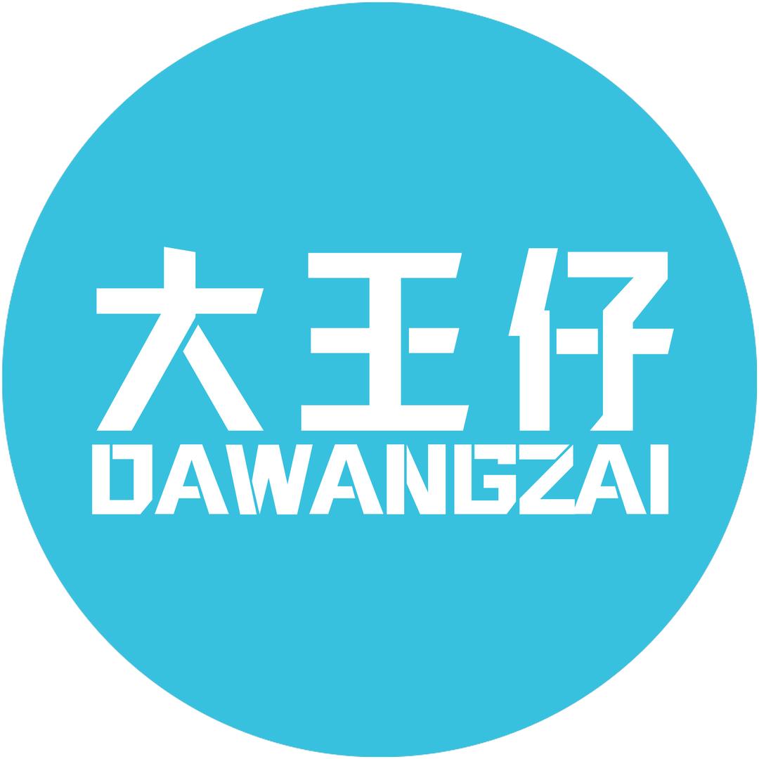 大王仔数码旗舰店