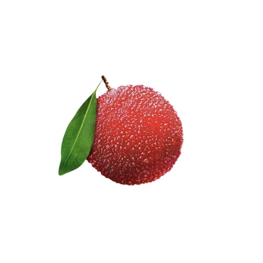 小羊玫