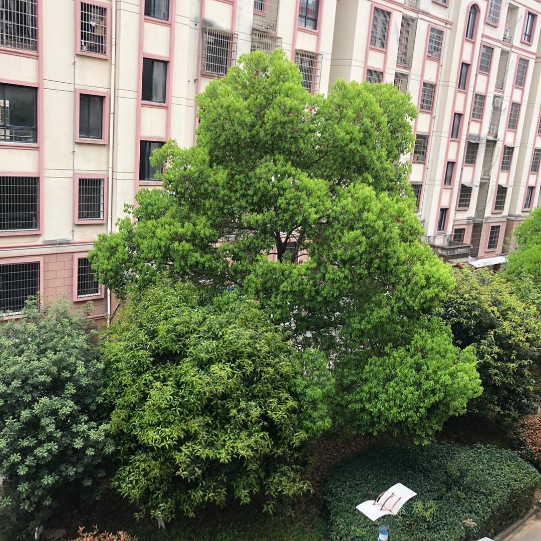 妈妈永远爱你