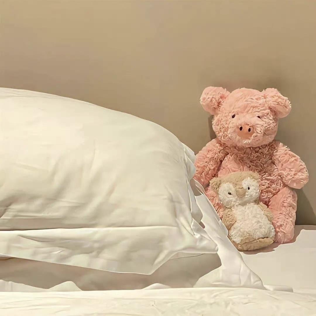 暖舍家居的头像