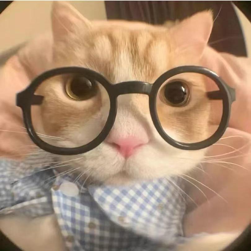 疯子