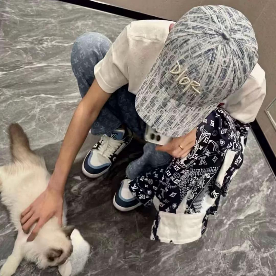 混过社会卖过萌