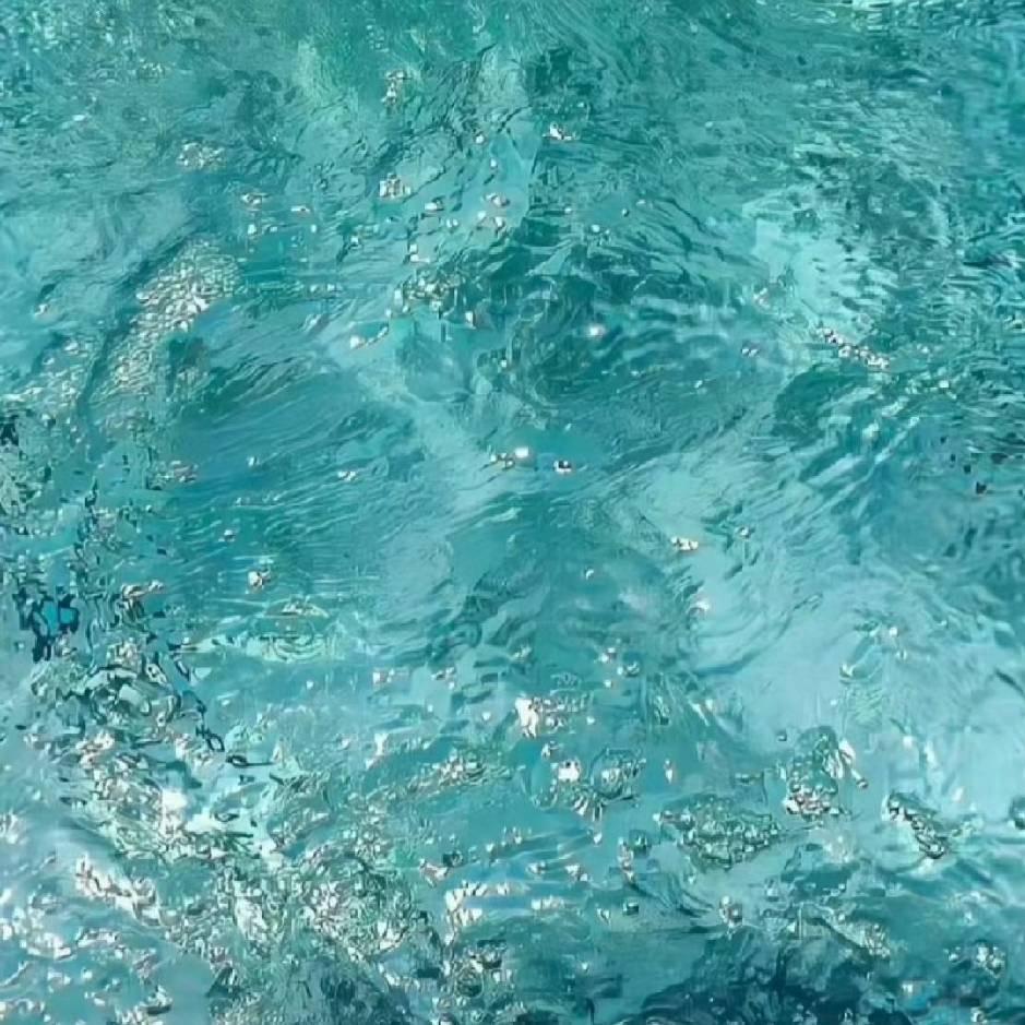 心心念晚威淑