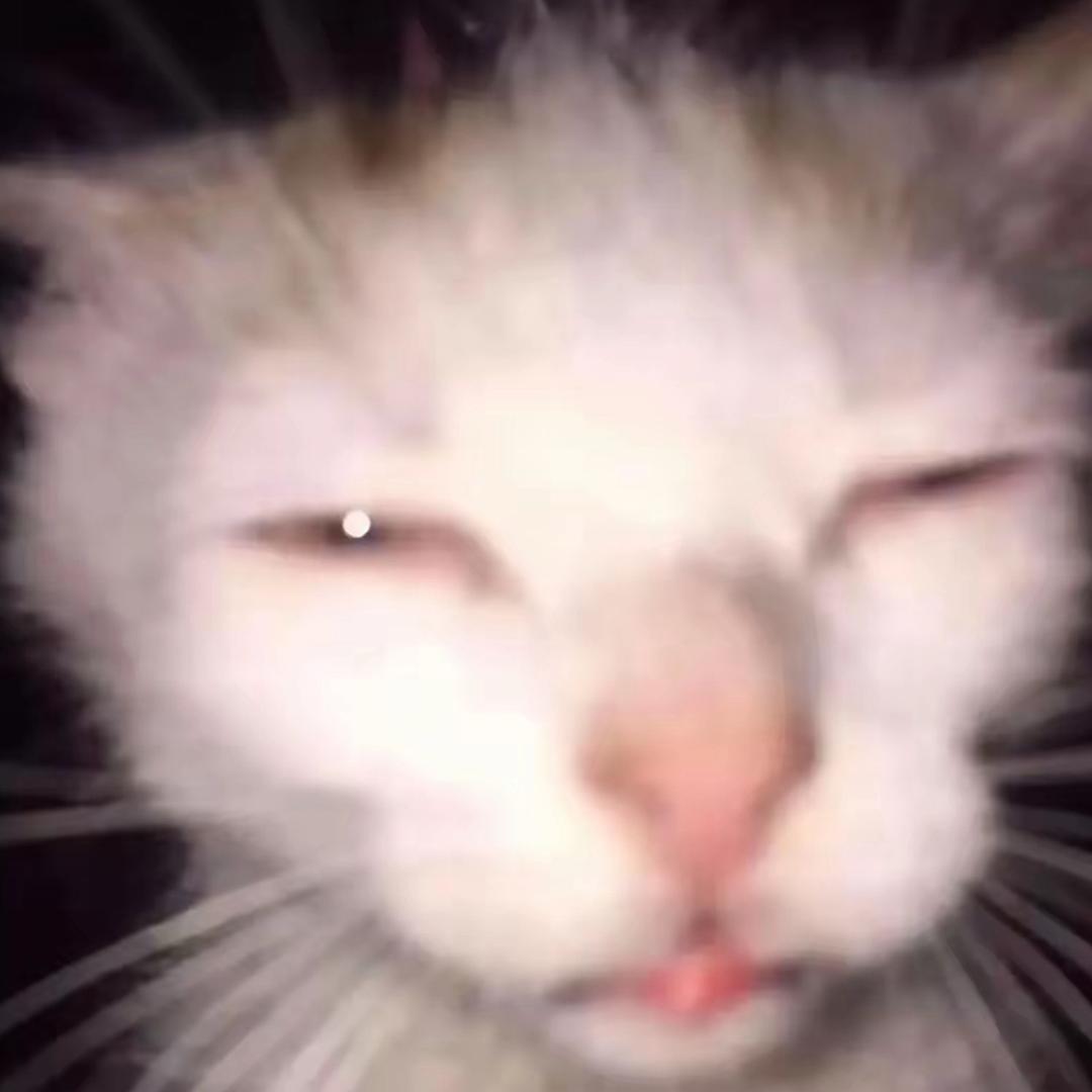 想吃麻薯QuQ