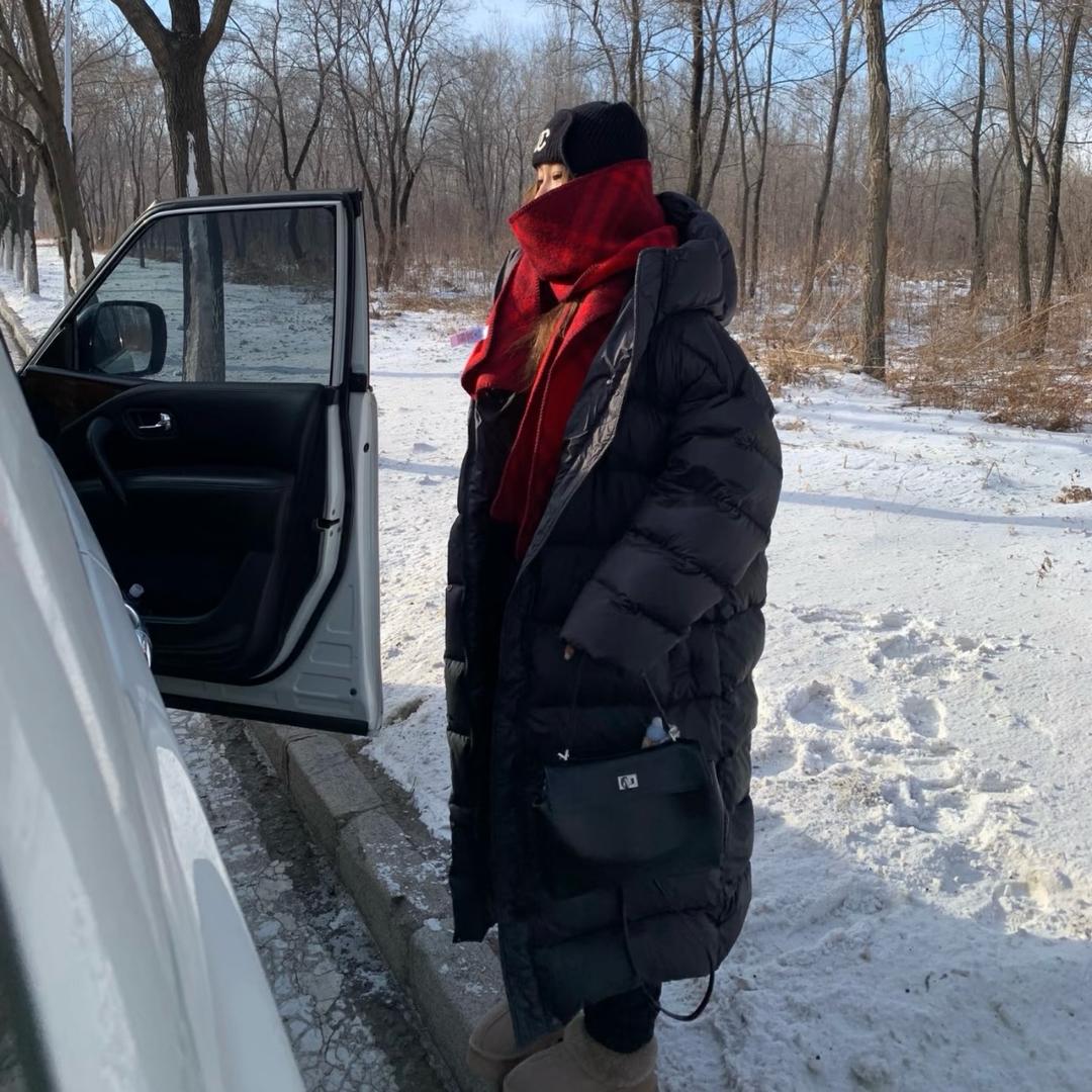 兔子 Alice （生活号）