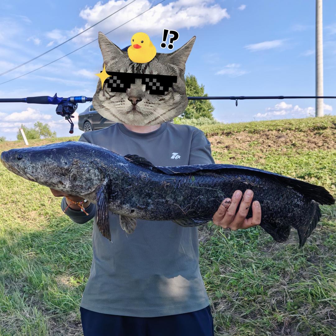 下娄拿快递（宾狗美式热狗）