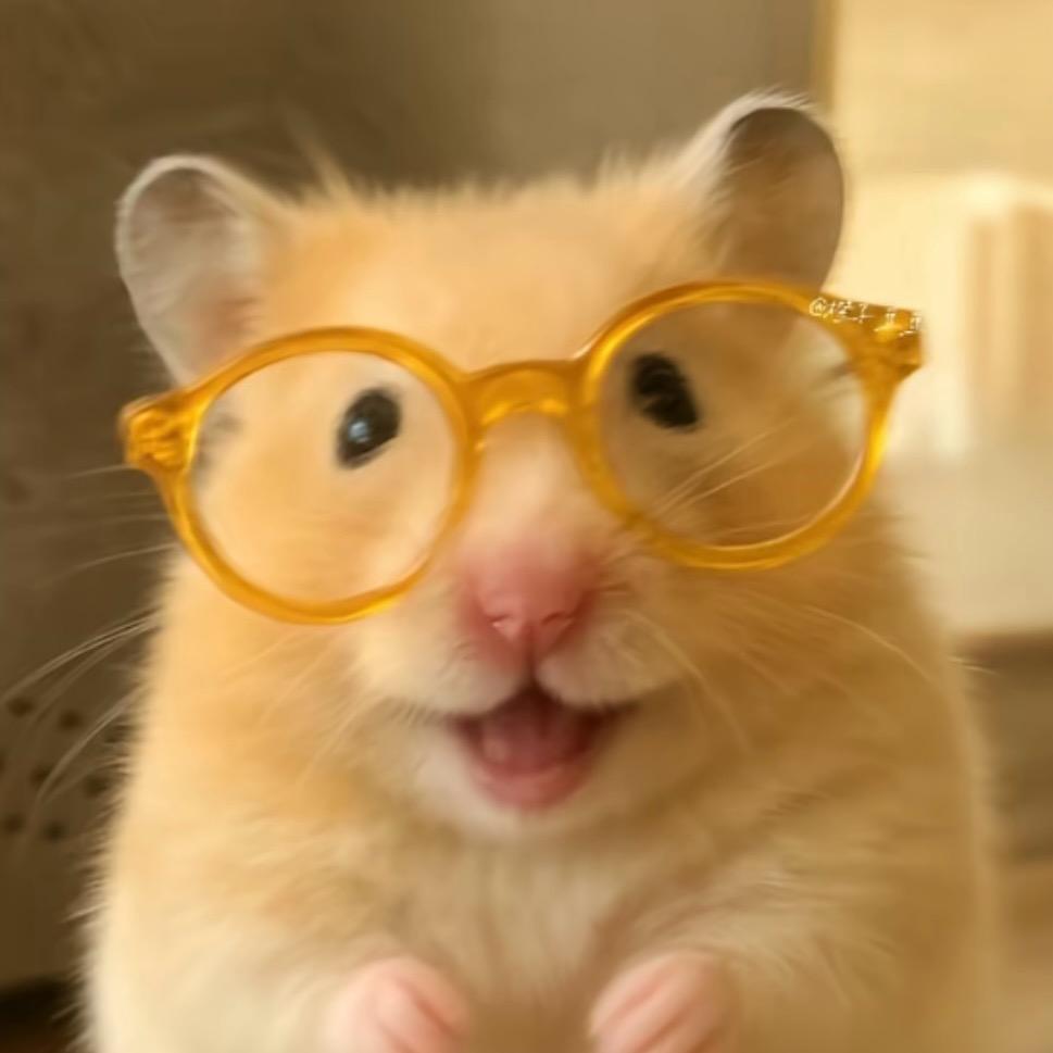 문