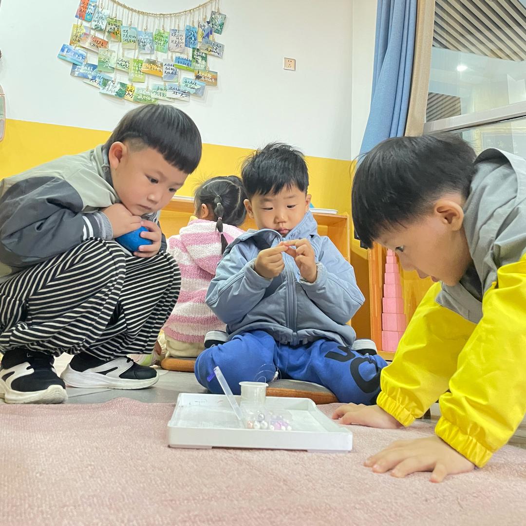 亳州市博苑幼儿园—妮妮老师🥭