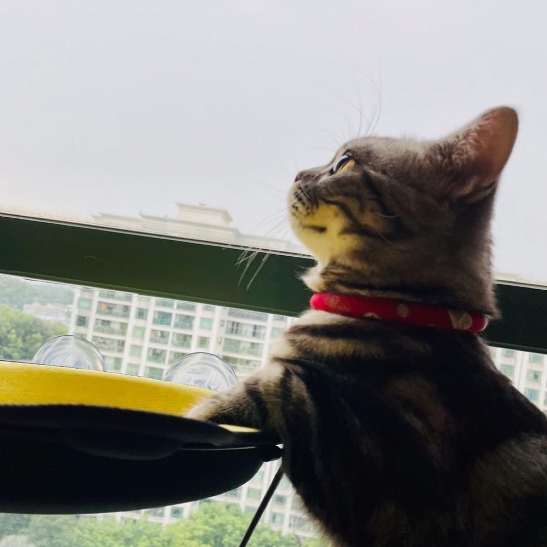 寻梦小鲁班