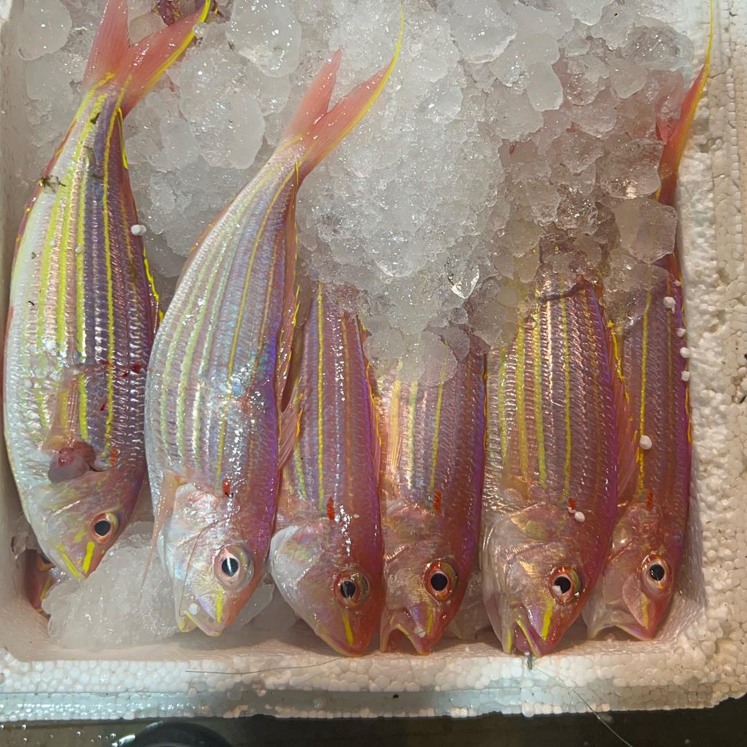 粤N海鲜鲜