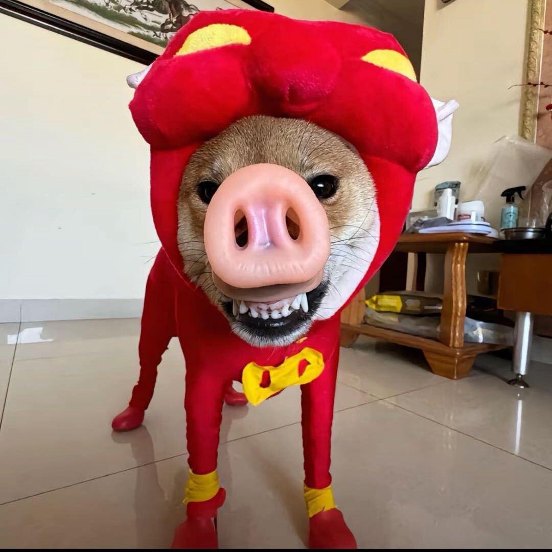 陆小果
