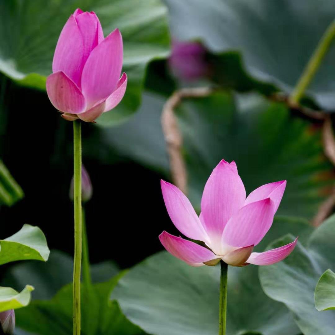 凝澜黛肤妮尔美容