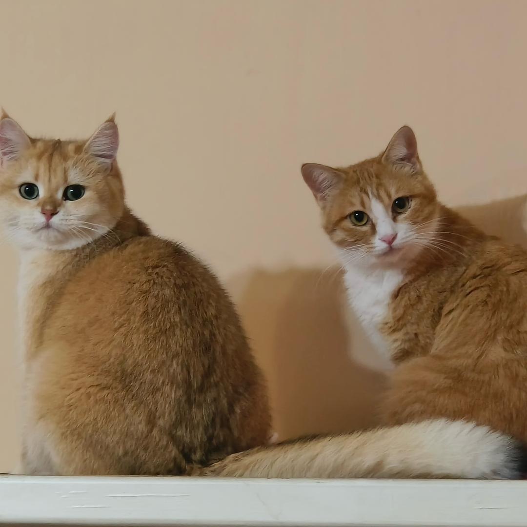 郑娇娇有个糟糠姐😺