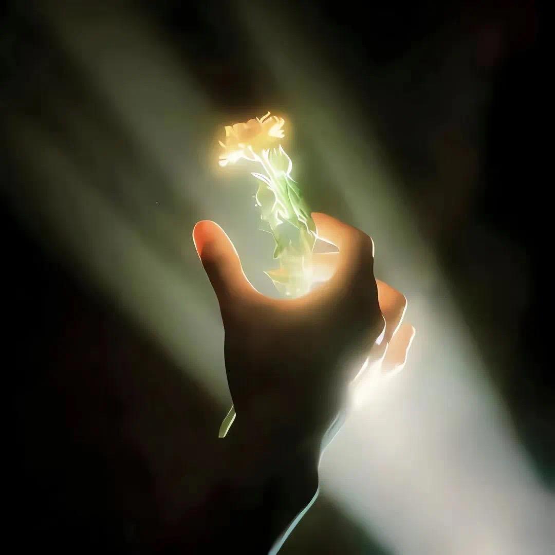 白茶清欢（三角洲行动）