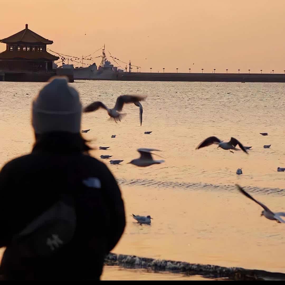 程橙@