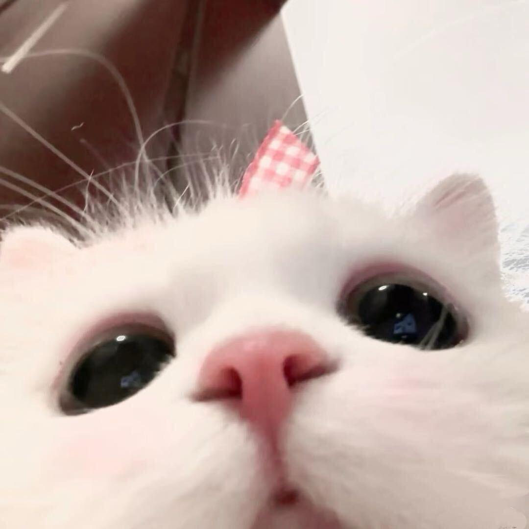小茵起床了