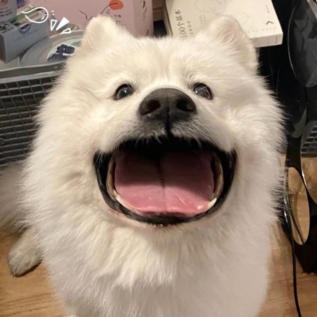 综合楼（青楼）食堂三楼