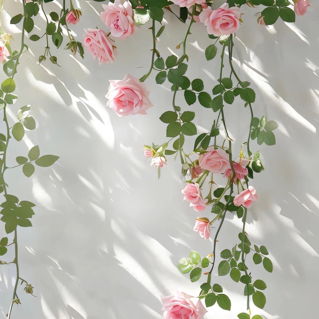 广州咨询有限jasdjfafadf直播号