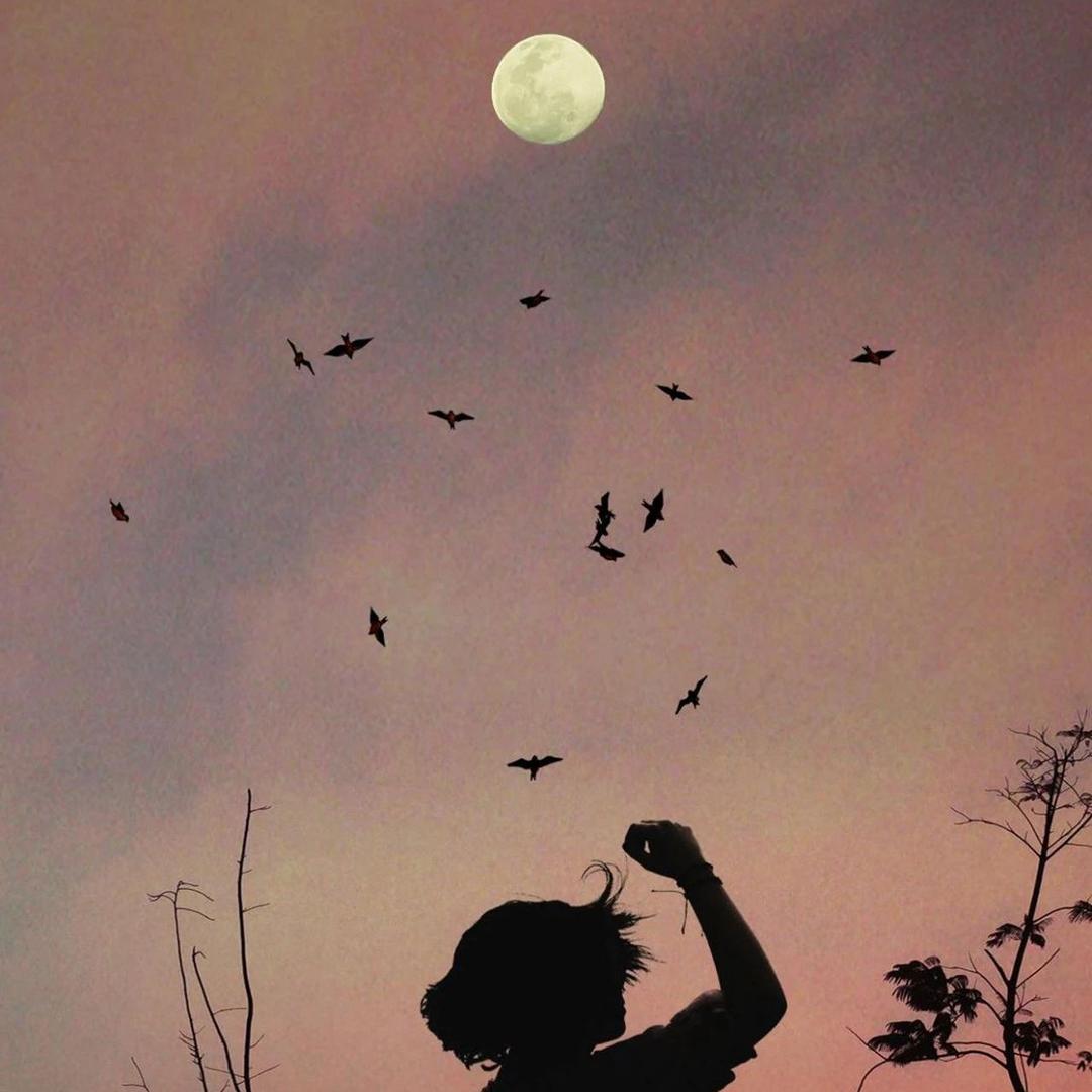 @乡下人🙇‍♀️