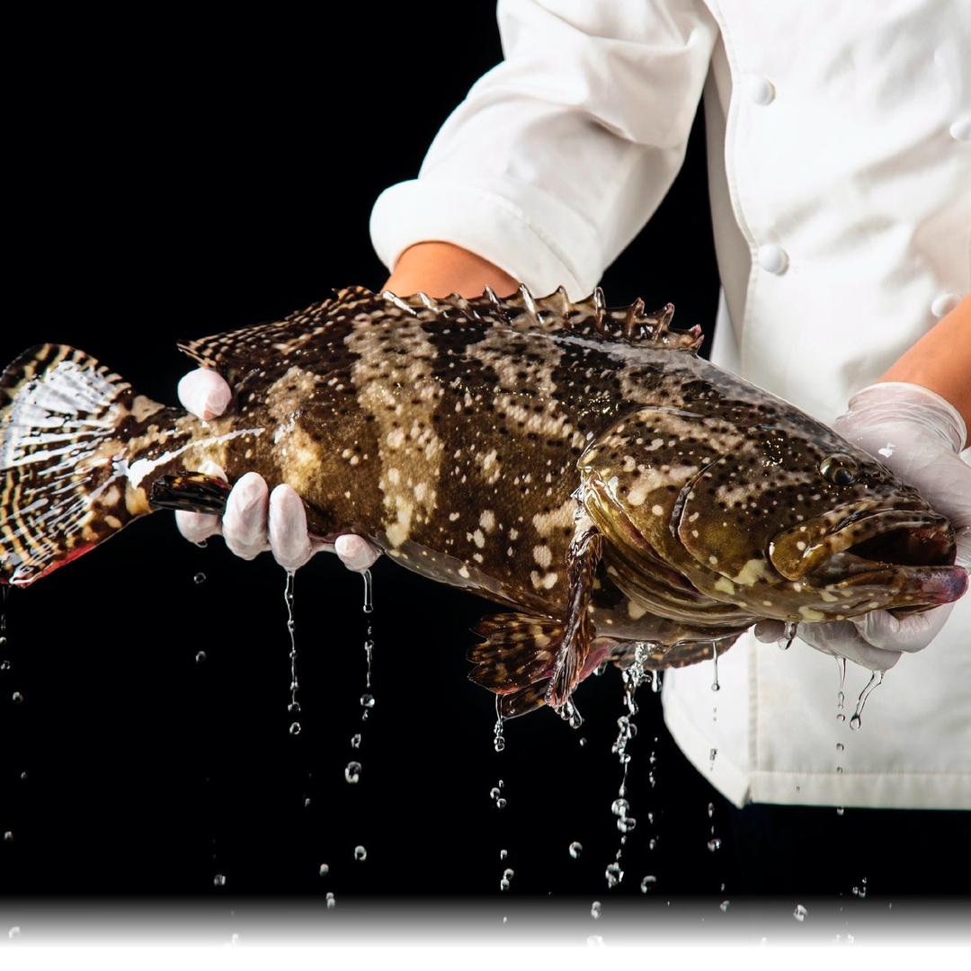 江海渔都：田鹏