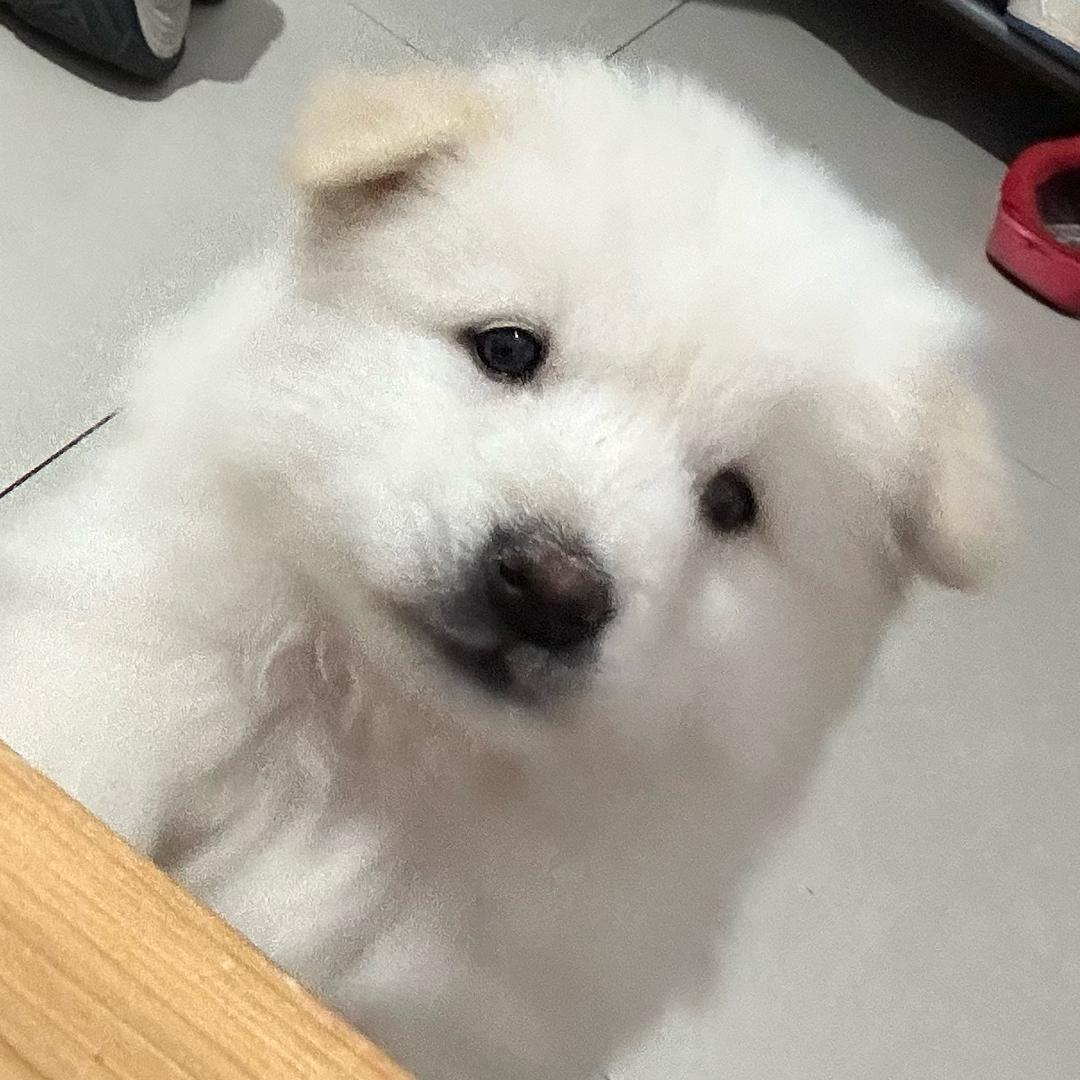 开心成长日记！