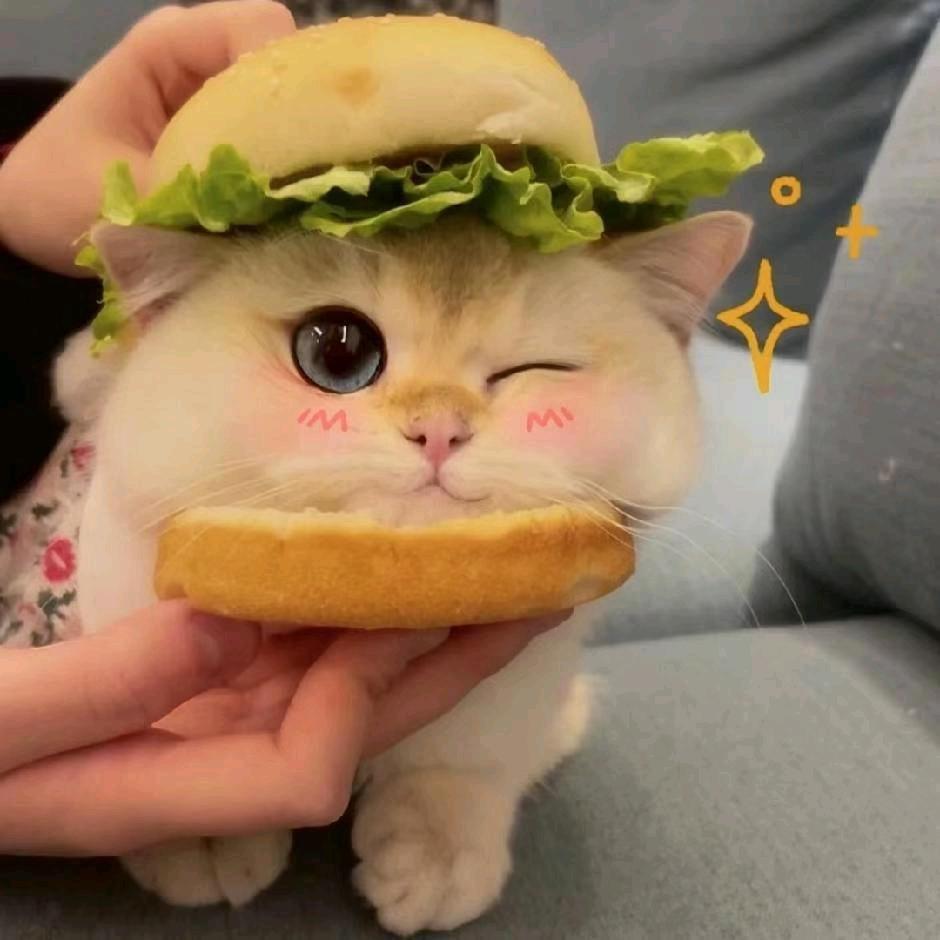 不经意